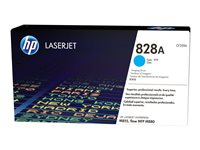 HP 828A - Sinivihreä - alkuperäinen - rumpusarja malleihin Color LaserJet Enterprise MFP M775; LaserJet Enterprise Flow MFP M830, MFP M880 CF359A