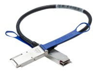 Mellanox LinkX 100Gb/s Passive Copper Cables - Câble InfiniBand - QSFP (M) pour QSFP (M) - 3 m - SFF-8665/IEEE 802.3bj - sans halogène, passif MCP1600-E003