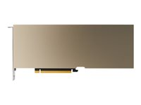 NVIDIA A30 - GPU computing processor - A30 - 24 Gt HBM2 - PCIe 4.0 x16 - ei tuuletinta TCSA30M-PB