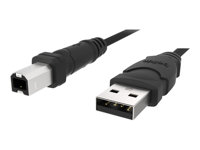 Belkin 6ft USB A/B Device Cable - USB-kabel - USB (hane) till USB typ B (hane) - USB 2.0 - 1.8 m - formpressad F3U133B06