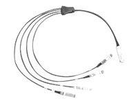 Cisco Direct-Attach Breakout Cable - Verkkokaapeli - QSFP+ (uros) to SFP+ (uros) - 2 m - SFF-8431/SFF-8436/SFF-8461 - passiivinen - ruskea malleihin P/N: N9K-C93180YC-FX3, N9K-C9336C-FX2-E, NC55-MPA-4H-HX-S=, NC57-24X400G-BA=, UCS-FI-64108 QSFP-4SFP10G-CU2M=