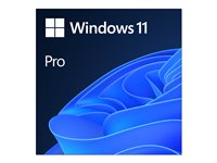 Windows 11 Pro - Lisenssi - 1 lisenssi - ESD - 64-bit, National Retail - Kaikki kielet FQC-10572