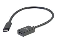 C2G 1ft USB-C to C 3.1 (Gen 1) Male to Female Extension Cable (5Gbps) - USB extension cable - 24 pin USB-C (uros) to 24 pin USB-C (naaras) - USB 3.1 Gen 1 / Thunderbolt 3 - 3 A - 30 cm - valettu - musta 88655