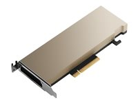 NVIDIA A2 - GPU computing processor - A2 - 16 Gt GDDR6 - PCIe 4.0 R9H23C