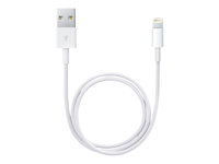 Apple - Salamakaapeli - Lightning uros to USB uros - 50 cm ME291ZM/A