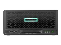 HPE ProLiant MicroServer Gen10 Plus Entry - ultra micro torni - Pentium Gold G5420 3.8 GHz - 8 Gt - ei kiintolevyä P16005-421