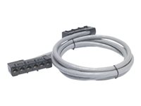 APC Data Distribution Cable - Verkkokaapeli - TAA-yhteensopiva - RJ-45 (naaras) to RJ-45 (naaras) - 5.7 m - UTP - CAT 5e - riser - harmaa DDCC5E-019