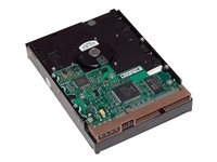 HP - Kiintolevyasema - 500 GB - sisäinen - 3.5" - SATA 6Gb/s - 7200 kierrosta/min - puskuri: 16 Mt malleihin Workstation Z1 G5, Z2 G4, Z2 G5, Z2 G8, Z2 G9, Z238, Z4 G4, Z420, Z6 G4, Z620, Z640, Z8 G4 LQ036AA