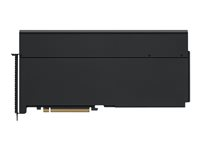 Apple Afterburner Card - GPU computing processor - PCIe x16 malleihin Mac Pro (syksy 2019) MW682ZM/A