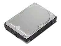 Lenovo - Kiintolevyasema - 6 Tt - sisäinen - 3.5" - SATA 6Gb/s - 7200 kierrosta/min malleihin ThinkStation P2; P330 Gen 2; P340; P350; P520; P720; P920 4XB0X87802