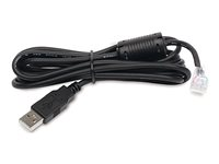 APC - USB-kaapeli - USB (uros) to RJ-45 (10-nastainen) (uros) - 1.8 m - musta malleihin Back-UPS LS 500 AP9827