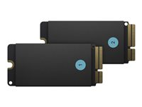 Apple SSD Kit - SSD - 512 GB - inbyggd (paket om 2) - för Mac Pro (Sent 2019) MXNN2ZM/A