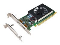 NVIDIA GeForce GT730 - Näytönohjain - GF GT 730 - 2 Gt GDDR5 - PCIe 2.0 x8 matala profiili - DisplayPort malleihin ThinkCentre M710; M715; M720; M75t Gen 2; M910; M920; V530-15 4X60M97031