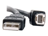 C2G 3.3ft USB A to USB B Cable - USB A to B Cable - USB 2.0 - Black - M/M - USB-kaapeli - USB (uros) to USB Type B (uros) - USB 2.0 - 1 m - musta 28101