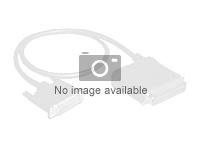 Intel OCuLink Cable Kit AXXCBL600CVCR - Sisäinen SAS-kaapeli - 4i MiniLink SAS (SFF-8611) (uros) suora to 4i MiniLink SAS (SFF-8611) (uros) oikeakulmainen - 60 cm AXXCBL600CVCR